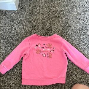 Garanimals Pink Sweatshirt for Everyday Comfort